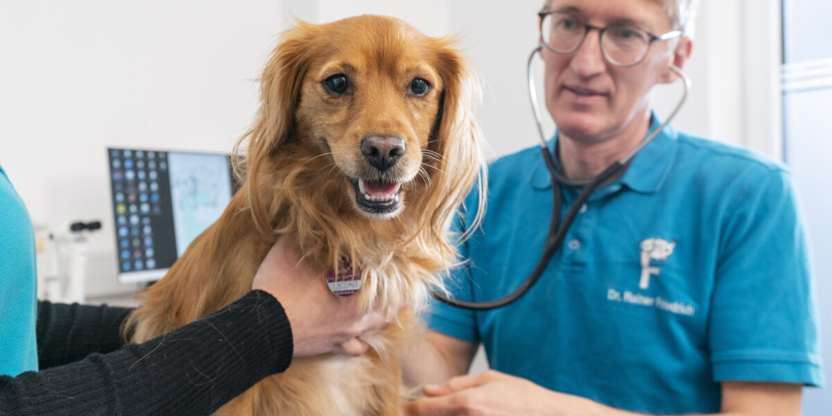 378 praxis friedrich 2022 aussch