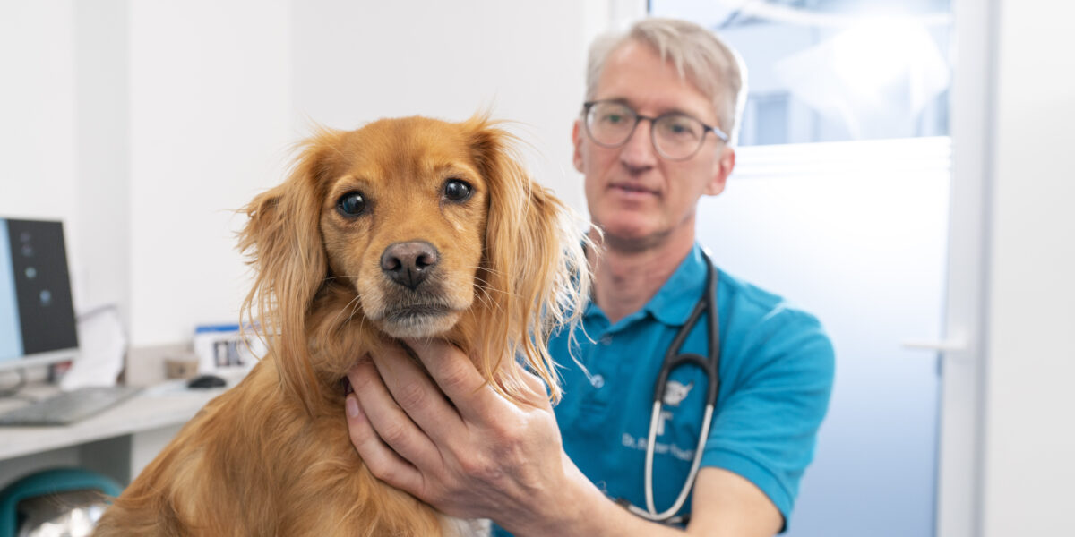 408 praxis friedrich 2022