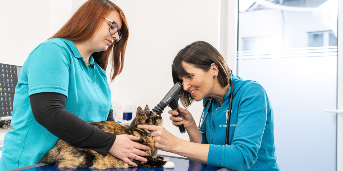 520 praxis friedrich 2022