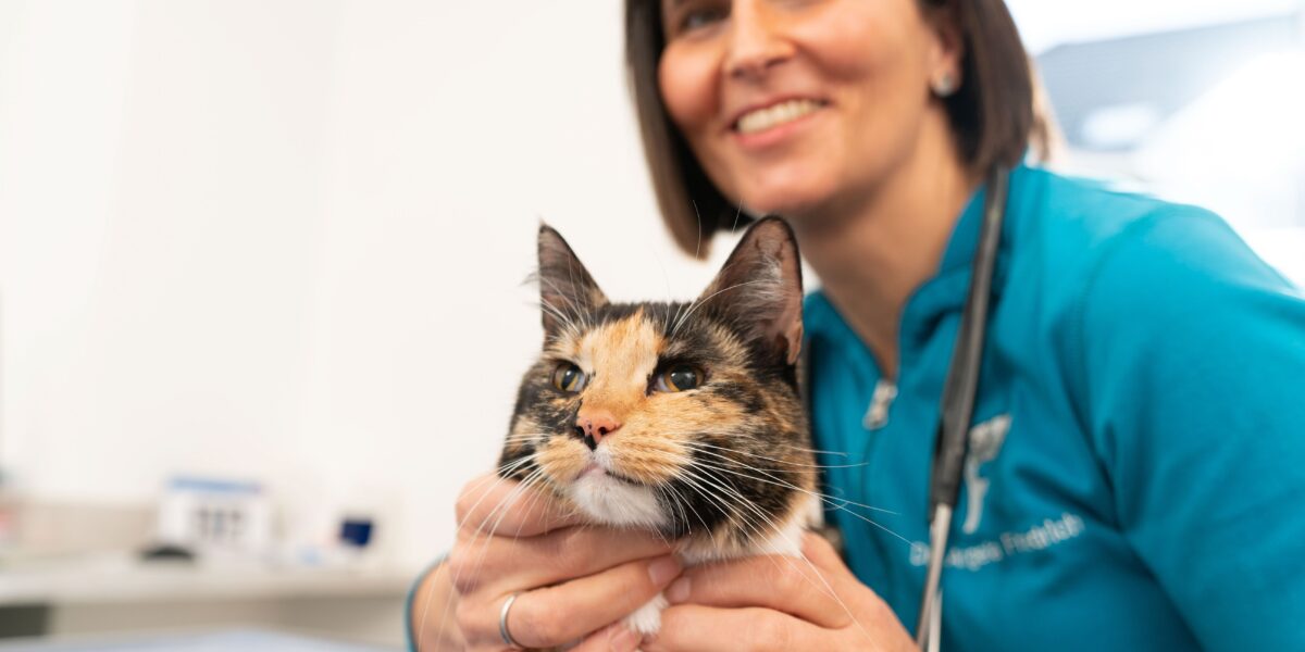 555 paxis friedrich 2022